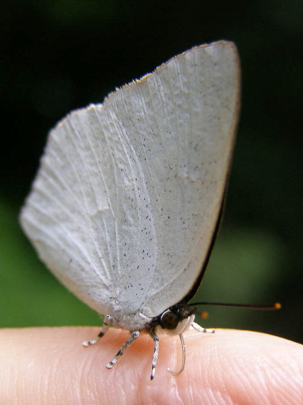 e0064158_0565854.jpg