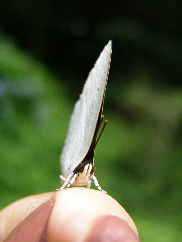 e0064158_0574449.jpg