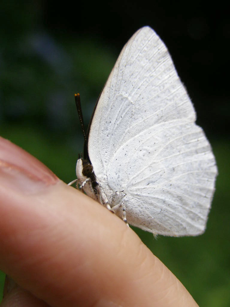 e0064158_0582720.jpg