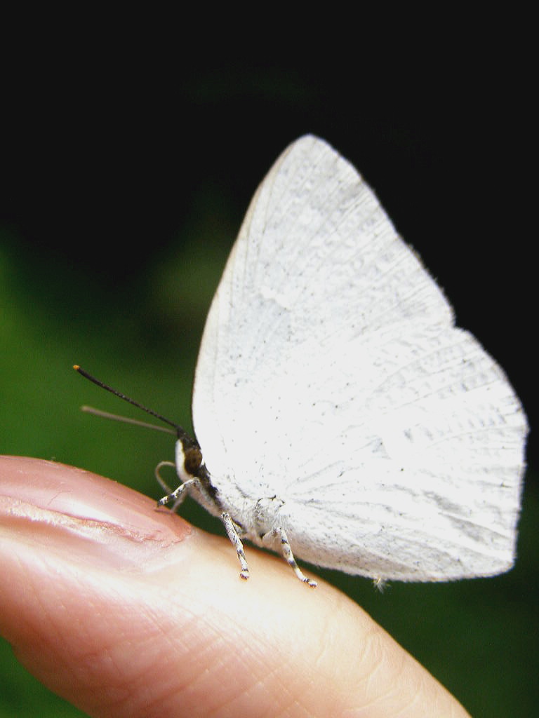 e0064158_0584996.jpg