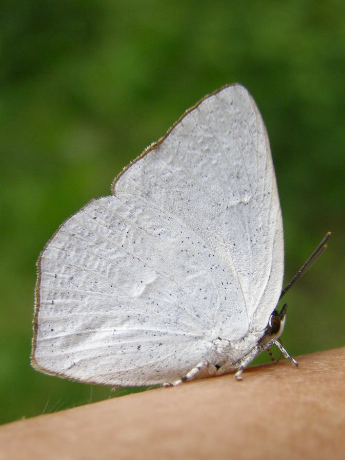 e0064158_0595965.jpg
