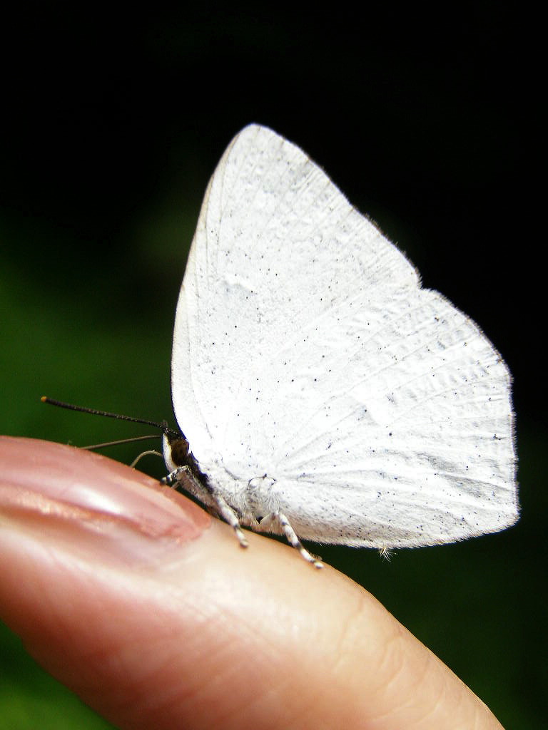 e0064158_059644.jpg