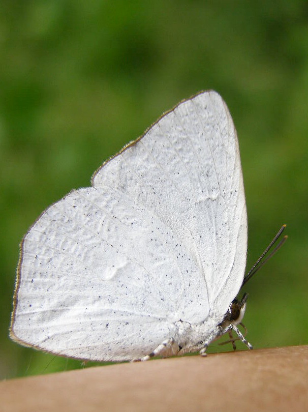 e0064158_101744.jpg