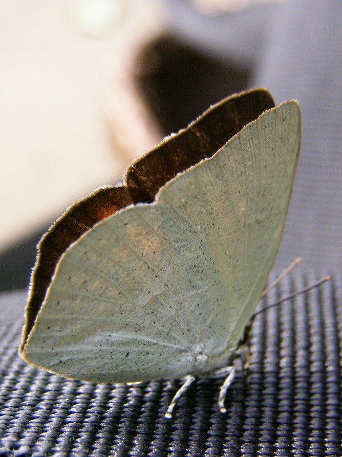 e0064158_104596.jpg