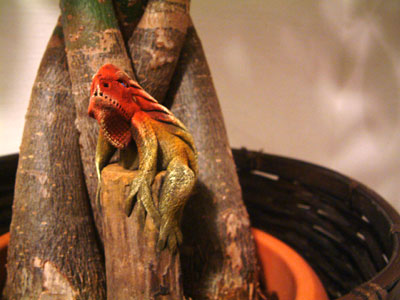 c0050264_1152569.jpg