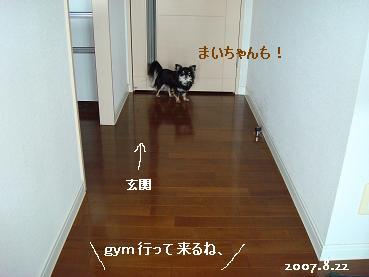 d0006467_21242116.jpg