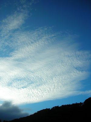 e0097770_17485517.jpg