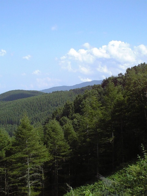 c0124776_6293166.jpg