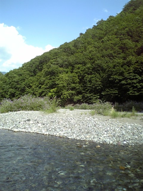 c0124776_6331076.jpg