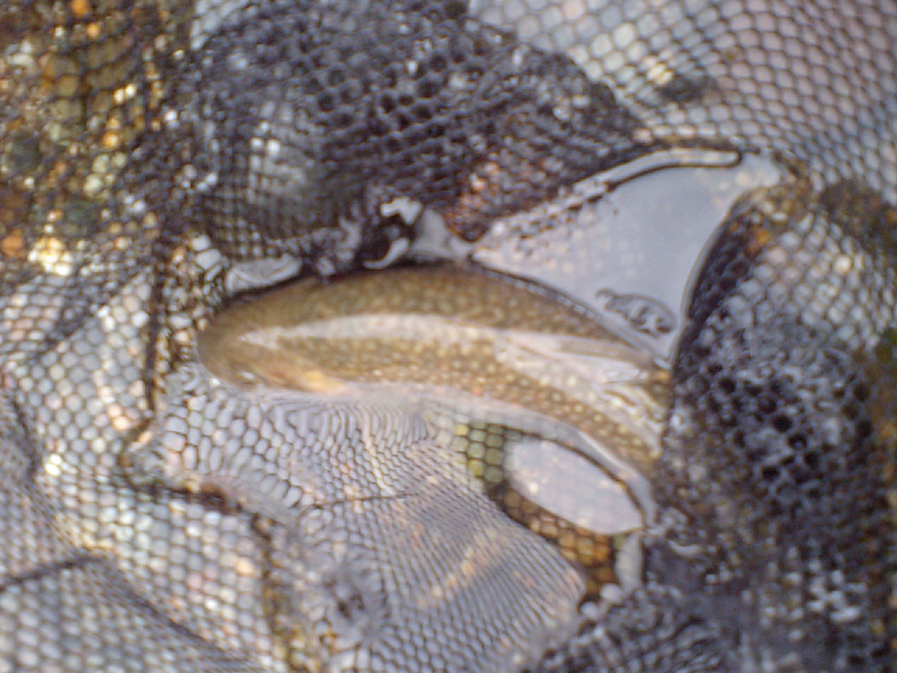 a0093677_21361487.jpg