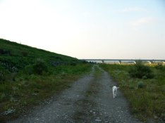 c0072379_20563647.jpg
