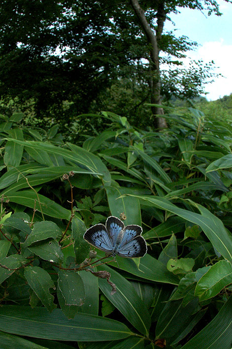f0090680_21595942.jpg