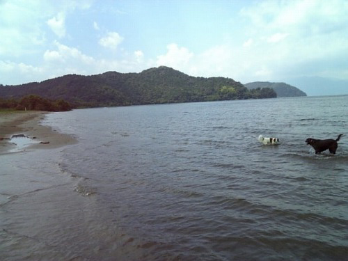 f0133681_1402975.jpg