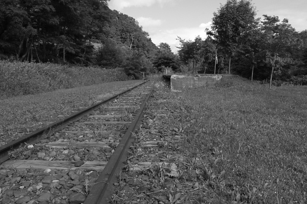 e0051186_20343480.jpg