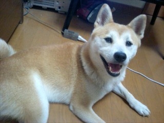 c0123890_20484060.jpg