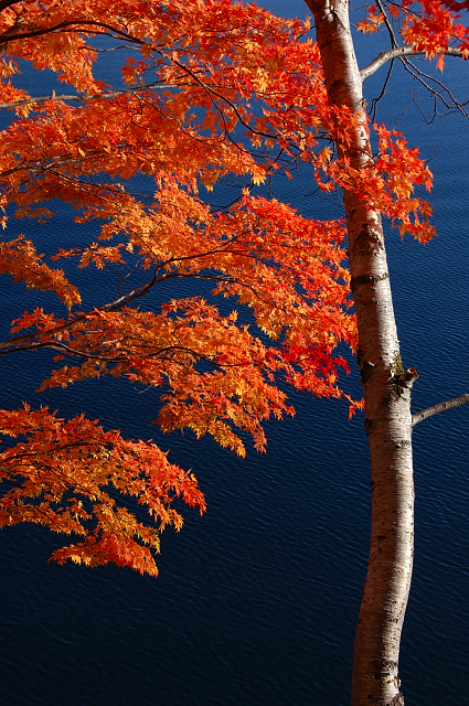 c0134295_00844.jpg