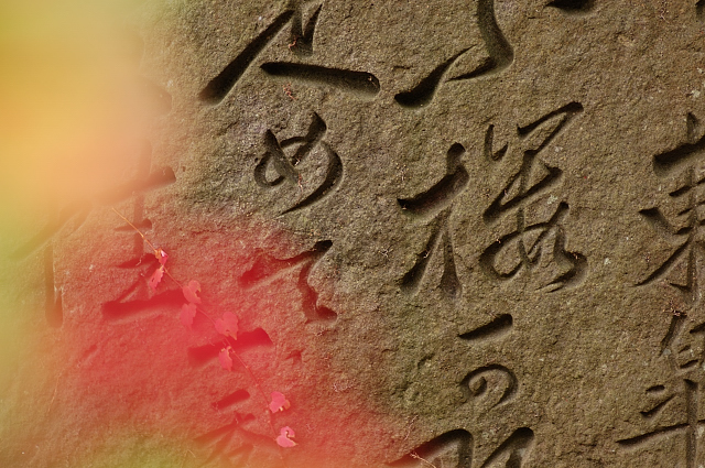 c0134295_2350359.jpg
