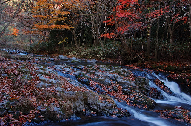 c0134295_23563768.jpg