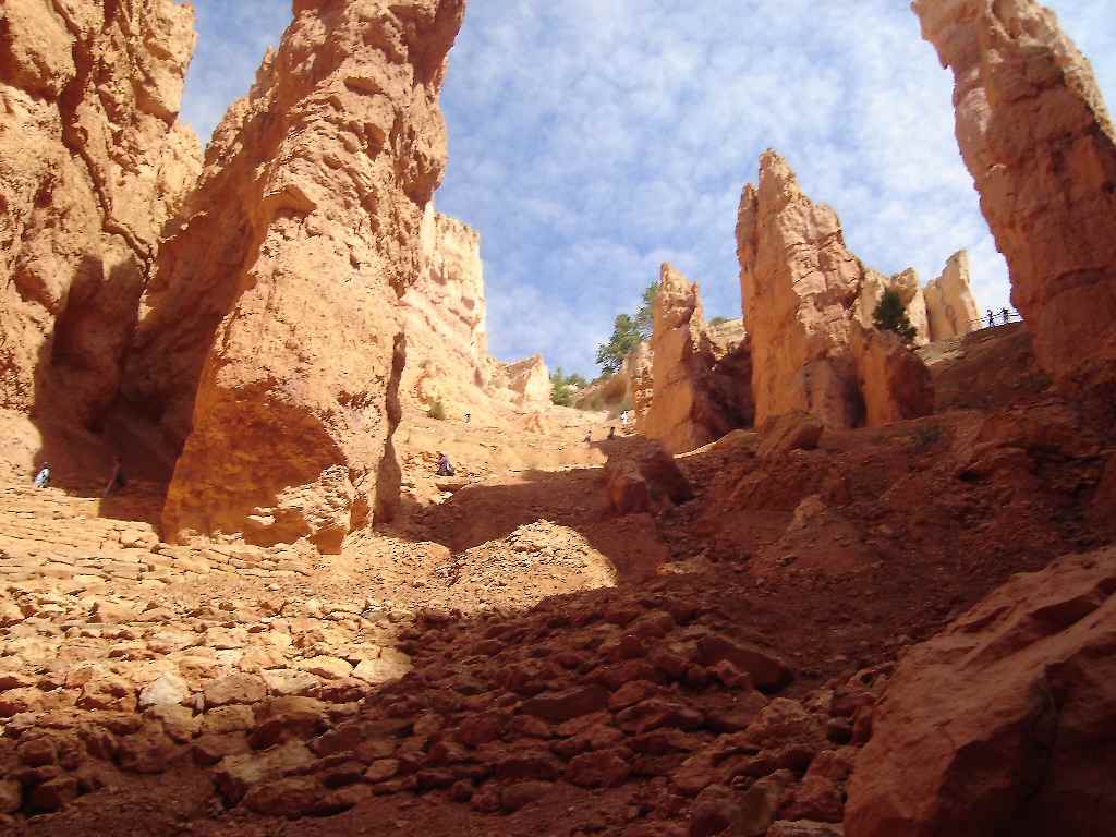 d0077699_18135488.jpg