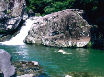 e0077899_7114789.jpg