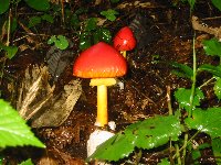 e0122199_23512673.jpg