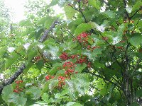 e0122199_235156.jpg