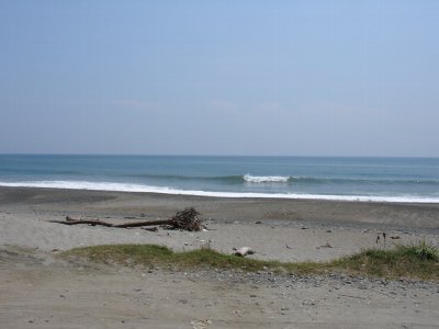 a0031000_6555623.jpg