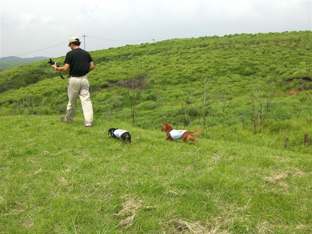 c0087001_22462781.jpg