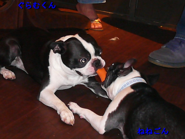 d0070702_031329.jpg