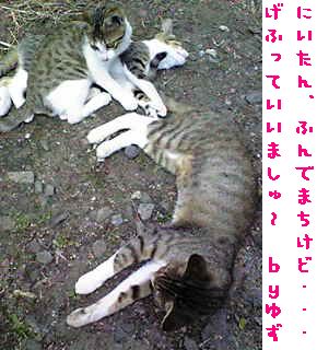 c0103205_21374837.jpg