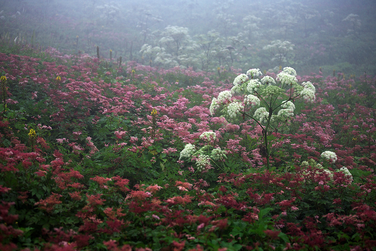 c0115616_20115117.jpg