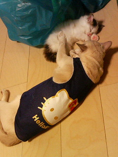 a0090729_934519.jpg