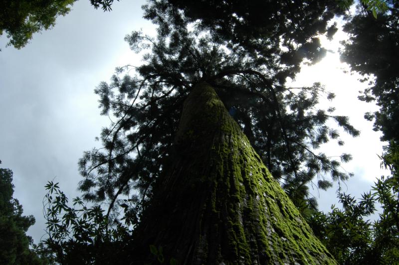 f0059629_23113013.jpg
