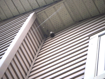 e0008833_16333369.gif