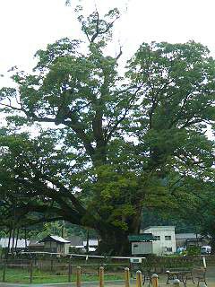 f0131934_23575189.jpg