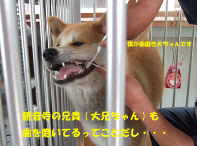 f0008935_1641405.gif