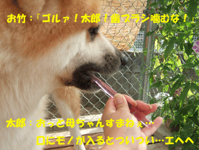 f0008935_16421250.gif