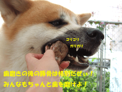 f0008935_16423015.gif