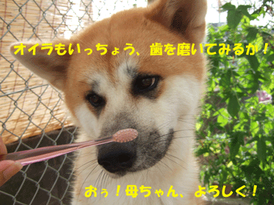 f0008935_17545523.gif