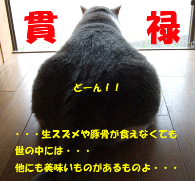 f0008935_179547.gif