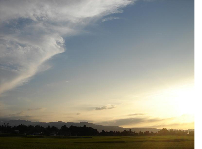f0131535_2321441.jpg