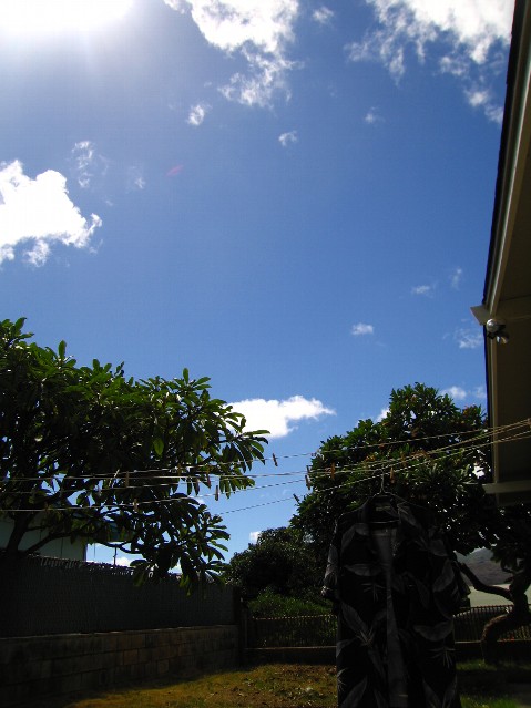 e0022439_10185494.jpg