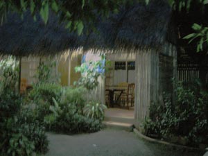a0023740_142460.jpg