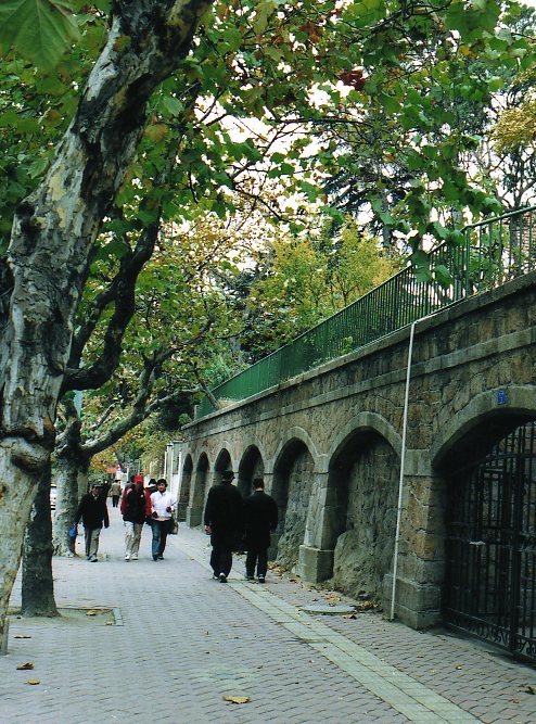 c0127640_222421.jpg