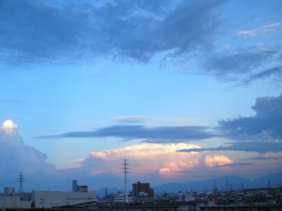 d0096542_1511147.jpg