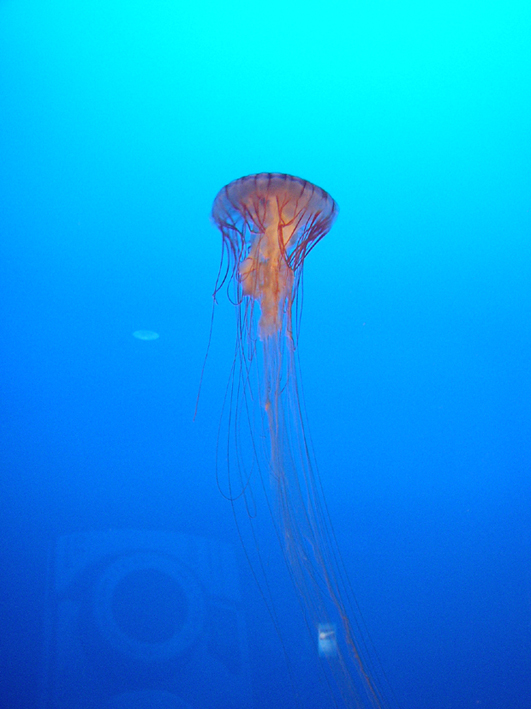 a0044046_054396.jpg
