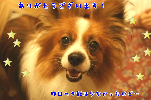 d0013149_111874.jpg