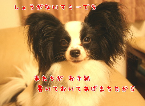 d0013149_161262.jpg