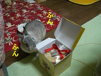 f0104057_20252659.jpg