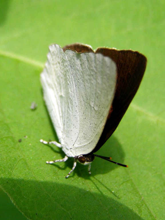 e0064158_1115481.jpg